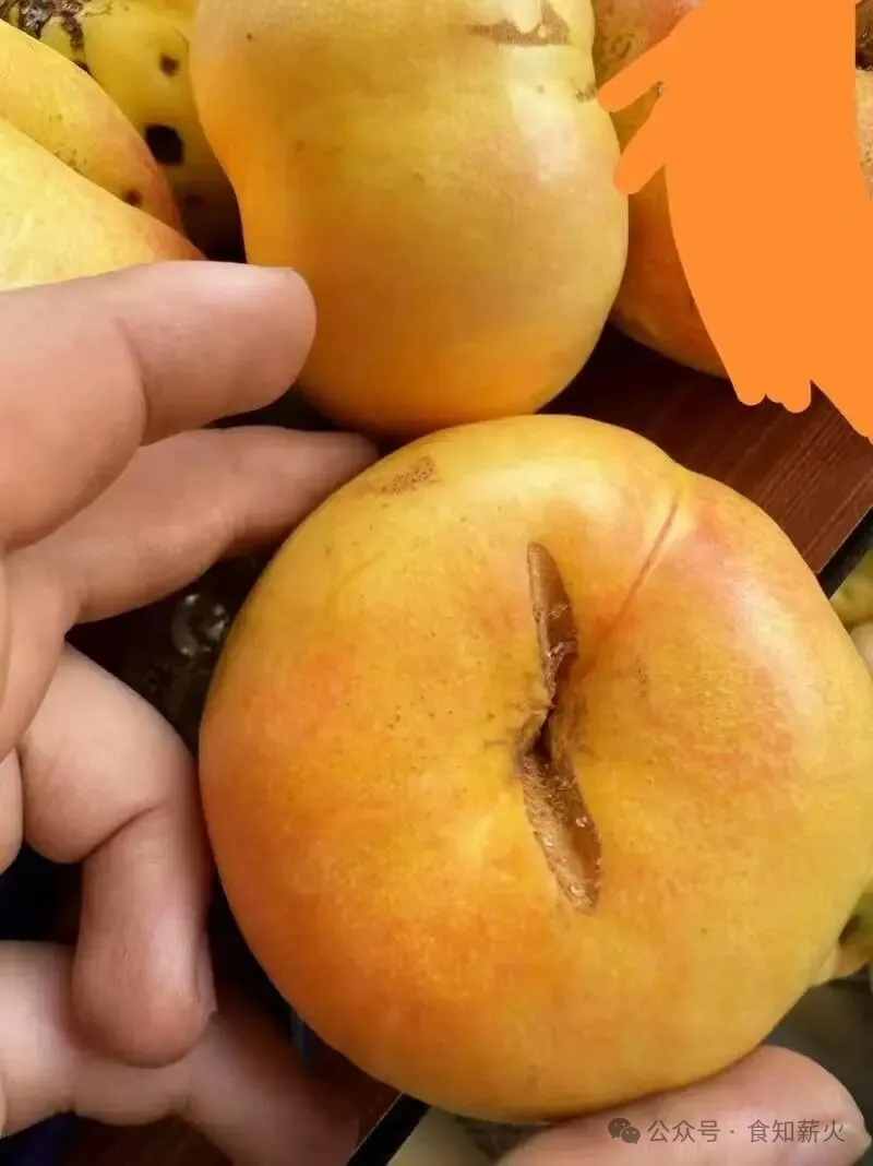 餐饮食品安全之食品掺假与鉴定