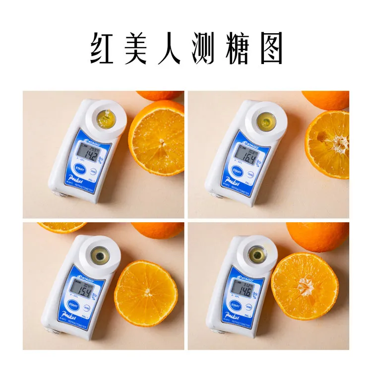 当餐优选浙江象山产地食材红美人果冻橙