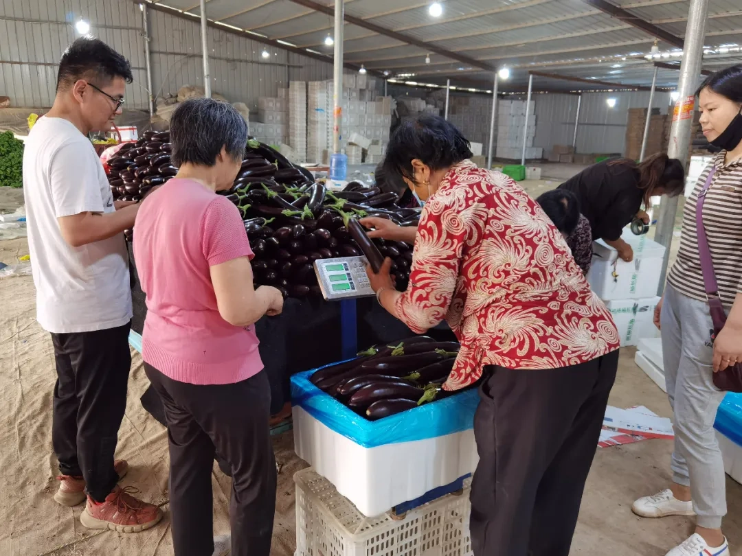 餐饮企业客户需要一个怎样的餐饮供应链平台
