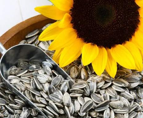 西部天地超市暖冬好物已上架,暖暖过冬天~