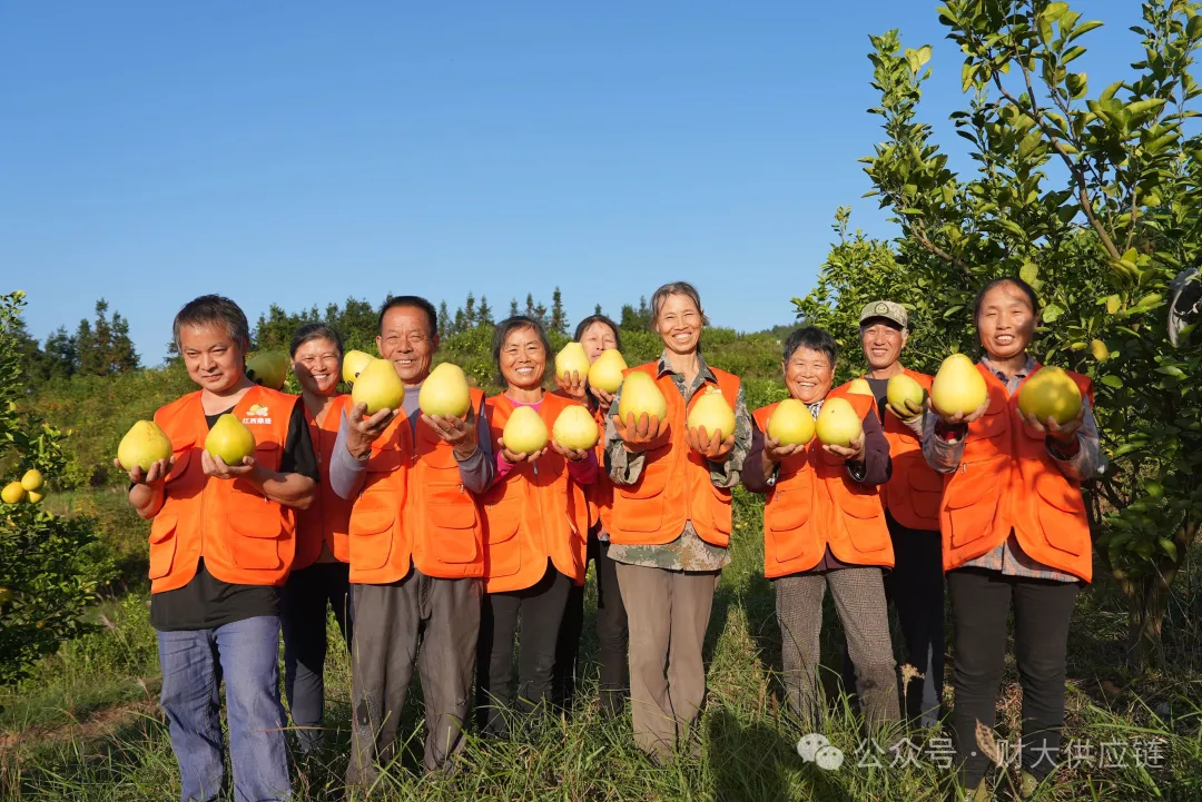 鼎盛有机金兰柚“甜蜜滋养”行动在京启幕 中农植业冠名助力高品质农产品全国推广