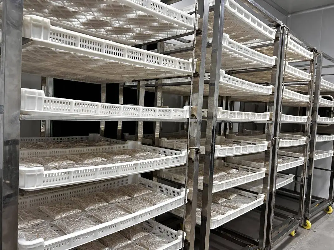 “超级食物”天贝是大豆发酵的营养传奇