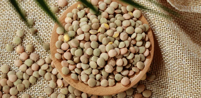 当餐推荐20款素食者补充蛋白质的宝藏食材,材料简单又好吃!