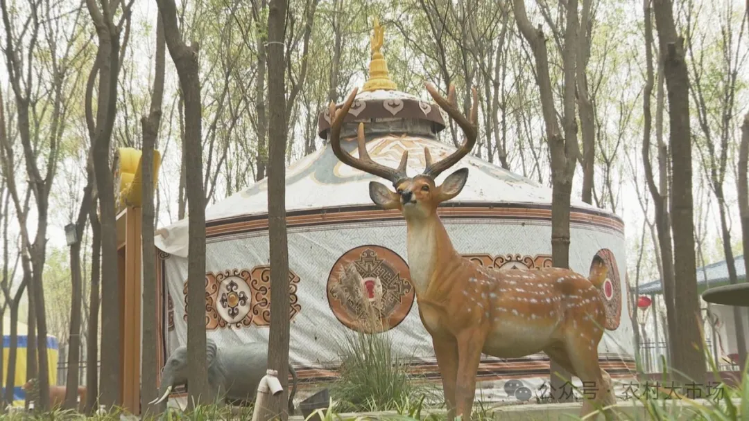 大山椒鱼成为特色餐饮新亮点