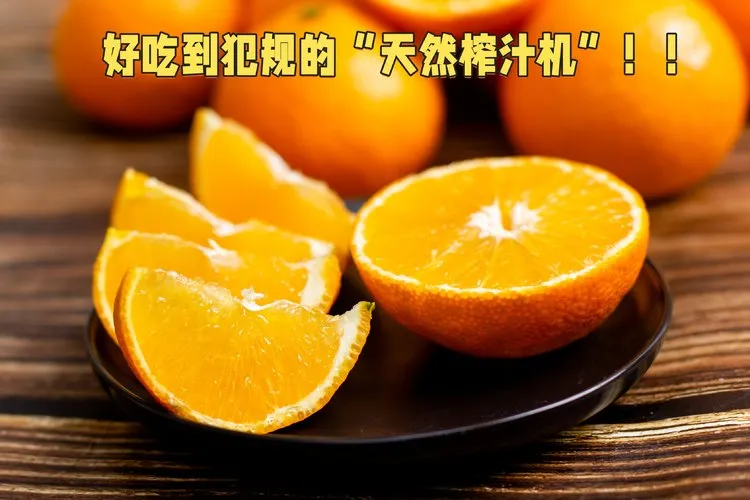 当餐优选浙江象山产地食材红美人果冻橙