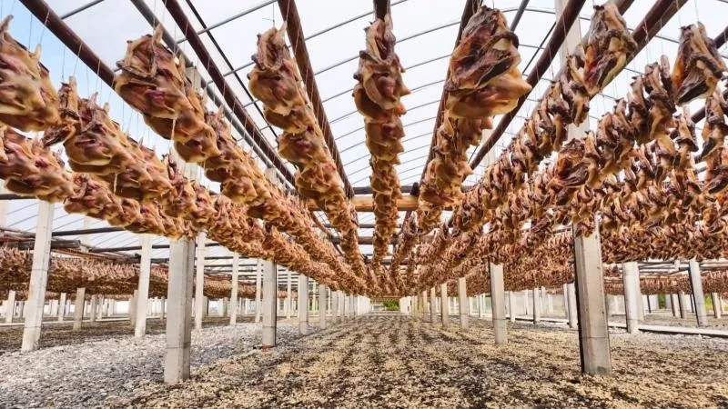 仲冬大余500 年南安板鸭,从美食到富民产业的华丽转身