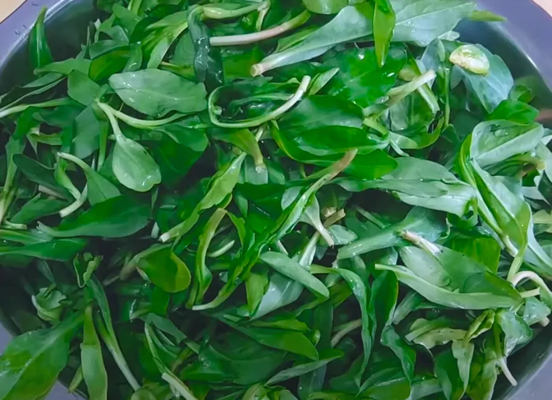 时令食材造就不同季节的金华美味