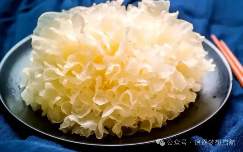 养生银耳藏在寻常食材里的滋补智慧