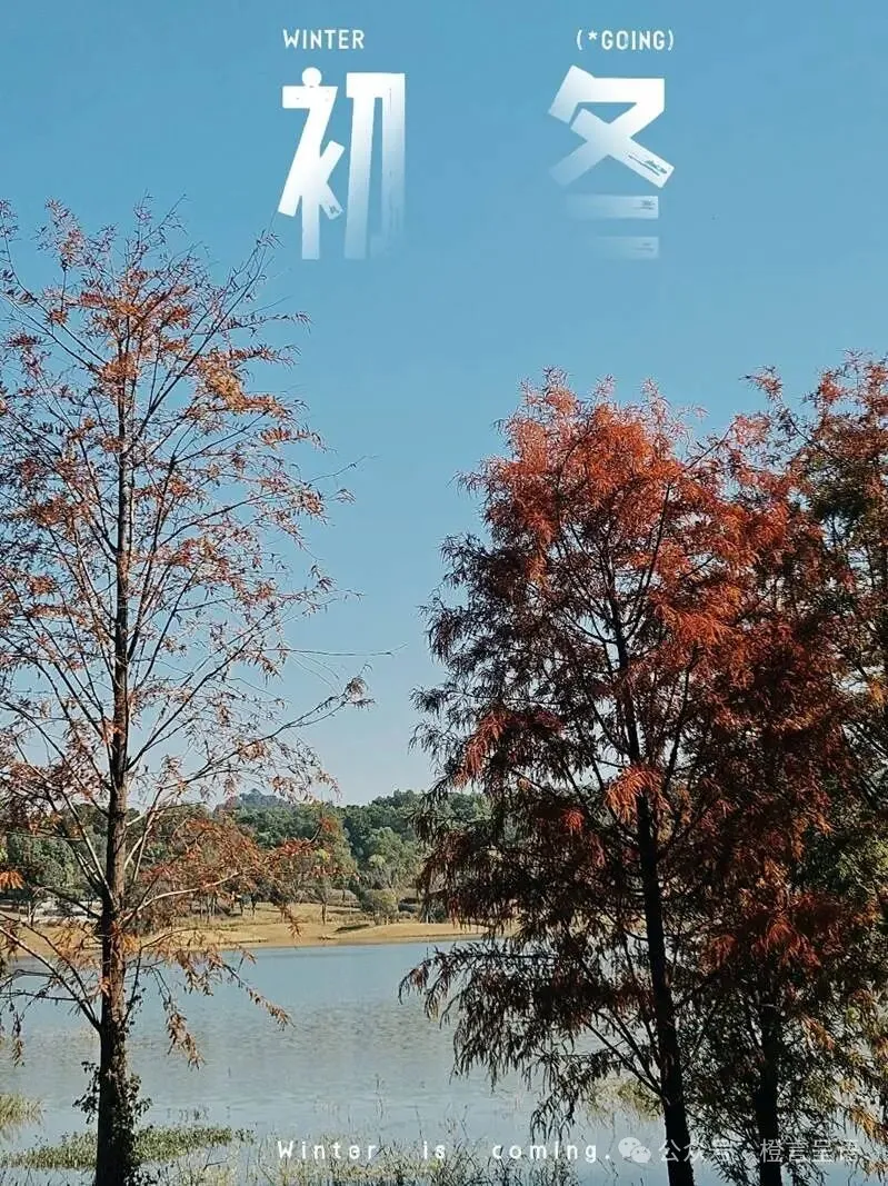 四季养生食疗小方和冬季饮食妙招