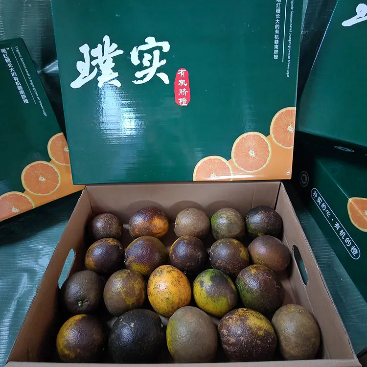 江西璞实有机黑皮橙,果肉清甜多汁基地直发有机认证0农残