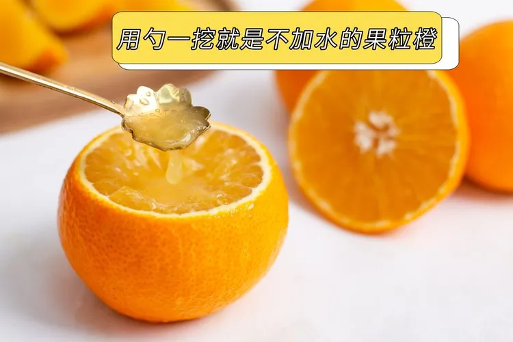 当餐优选浙江象山产地食材红美人果冻橙