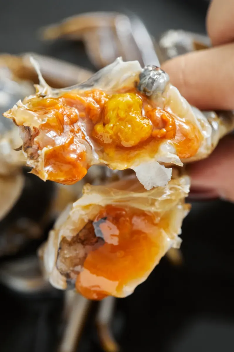 这6种网红食物有寄生虫风险,当餐建议少吃!