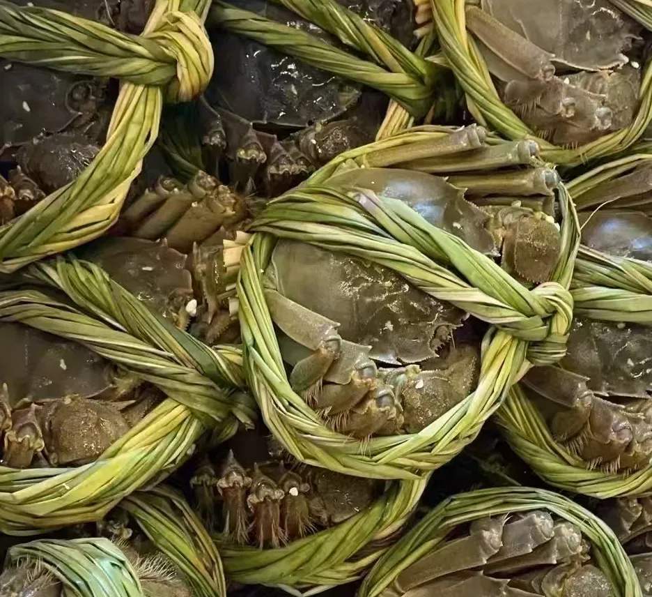 明星父亲因吃8个死蟹住院,变质危险食材请“住嘴”