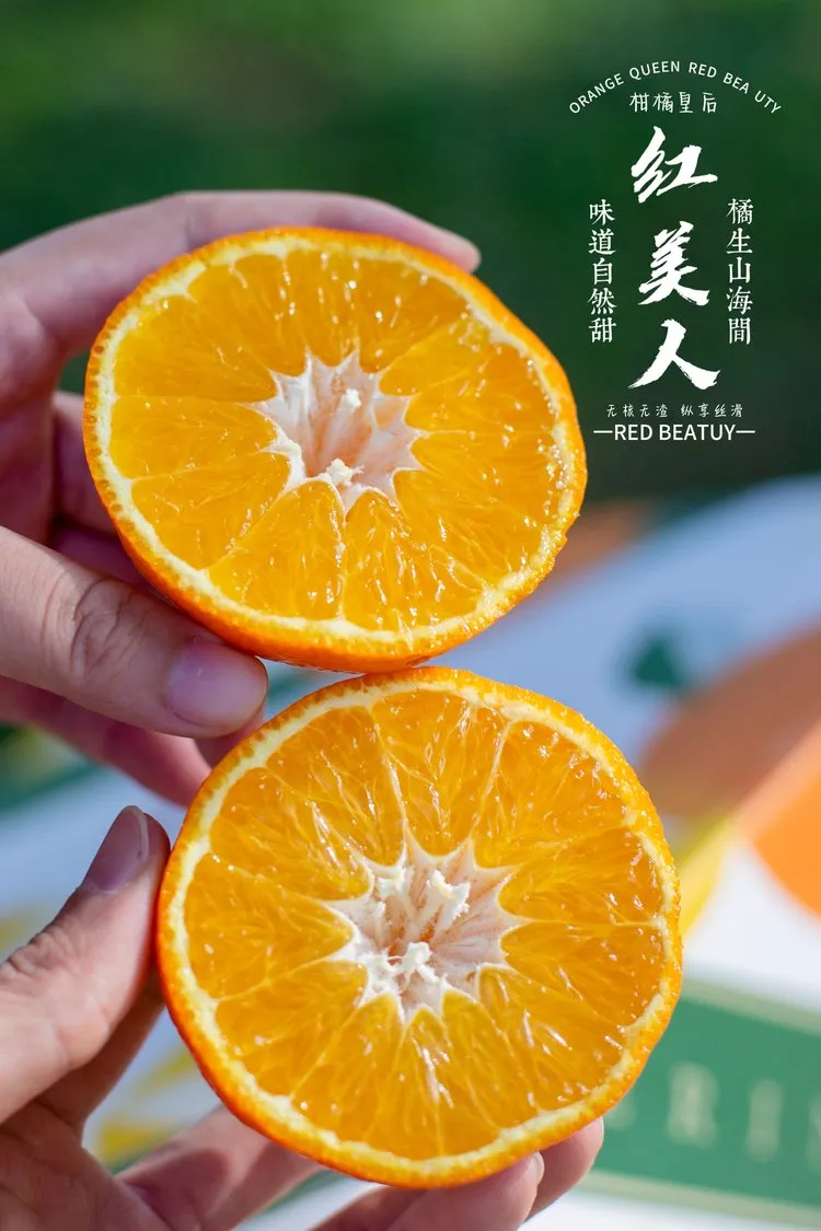 当餐优选浙江象山产地食材红美人果冻橙