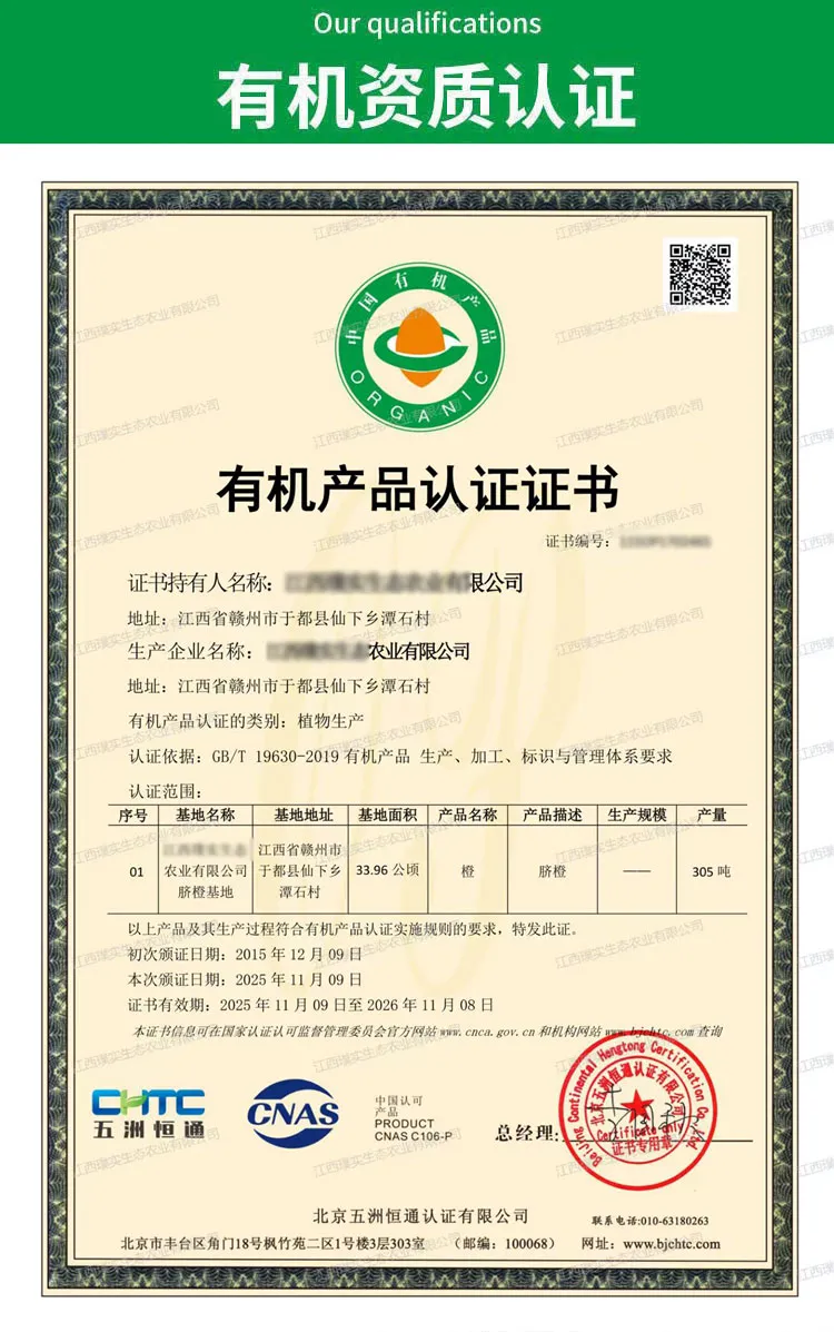 江西璞实有机黑皮橙,果肉清甜多汁基地直发有机认证0农残