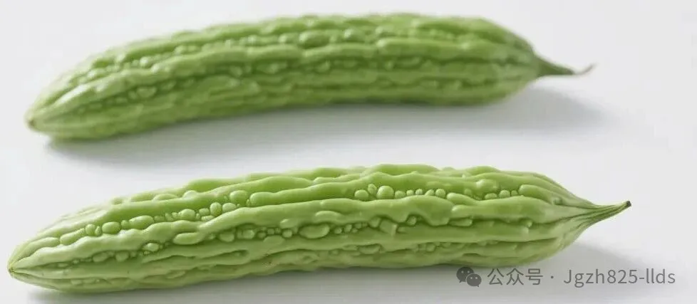 被人们誉为“植物胰岛素”的食材苦瓜