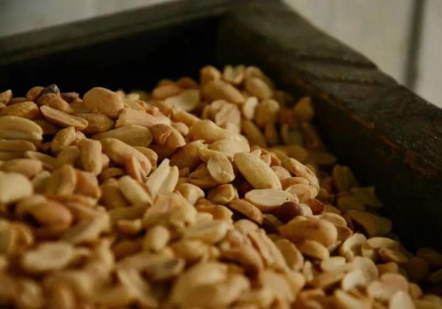 传统美食酥松香脆花生糖,传统老味道,一口茶一口酥糖