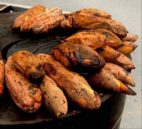 泡暖汤、品美食、享雪趣…承包你一整个冬天的快乐!