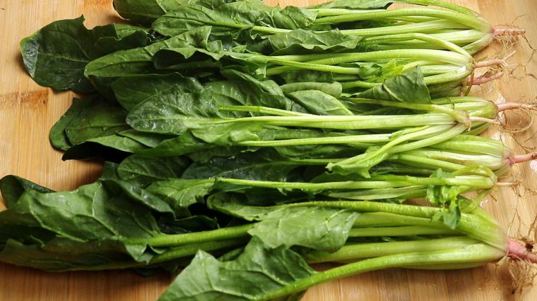 神经损伤辅助调理的天然食材新选择菠菜