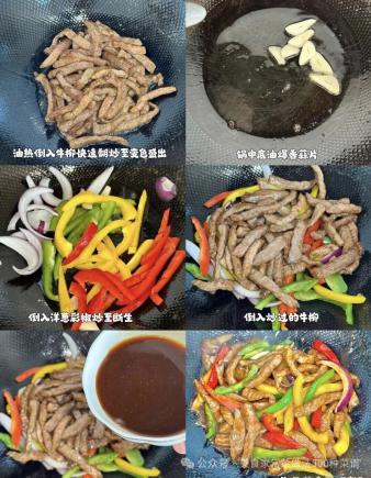 美食家常菜500种做法家常菜简单100道下饭菜菜谱做法大全之黑椒牛柳