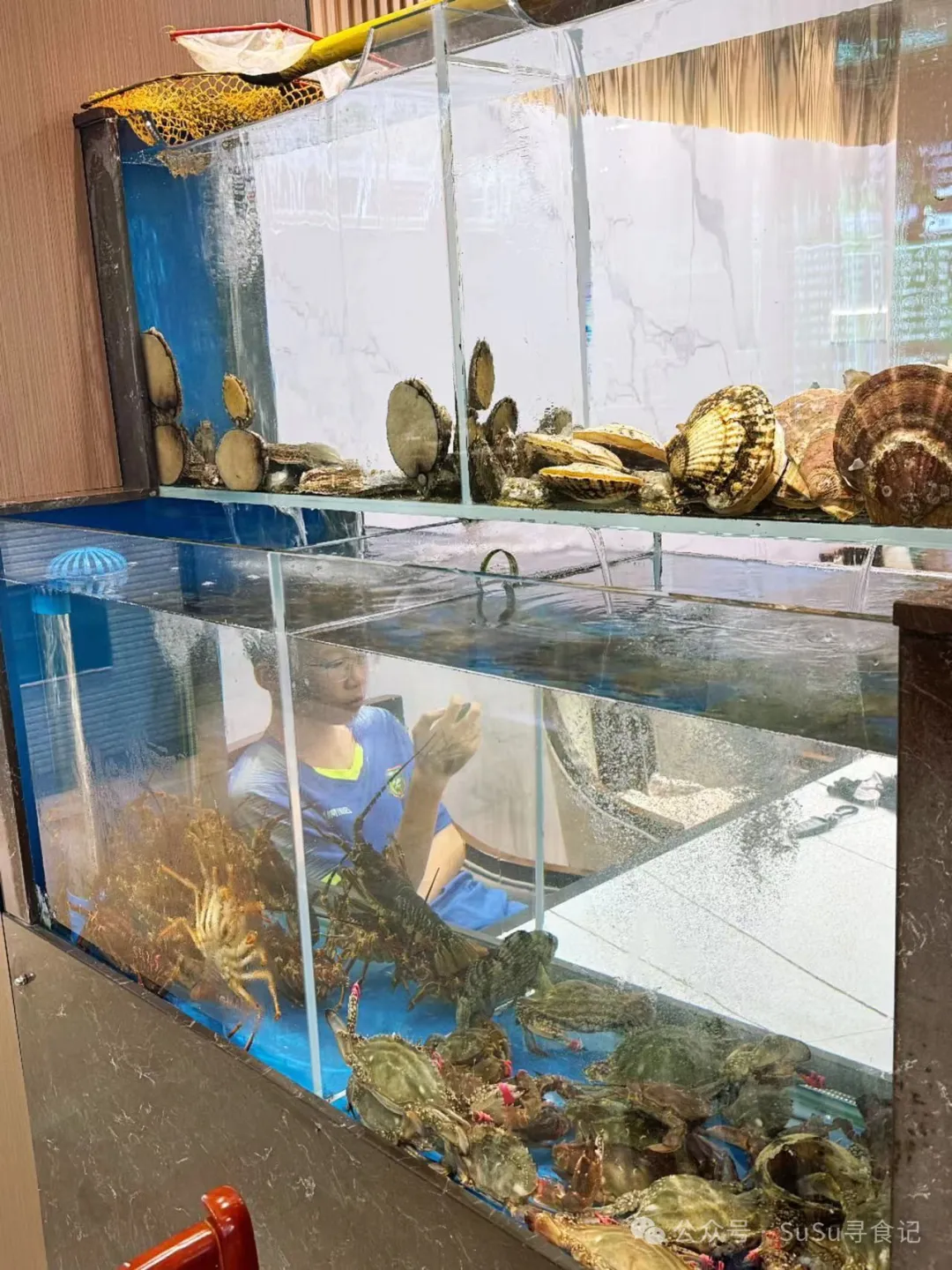 大连海螺面创始店