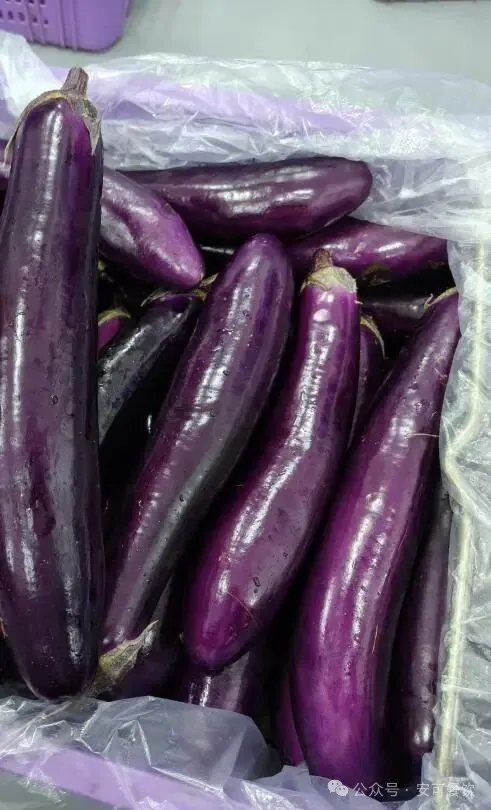 餐饮食材供应链从田间到餐盘的全流程揭秘