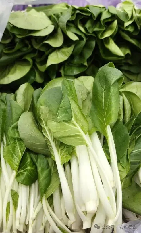 餐饮食材供应链从田间到餐盘的全流程揭秘