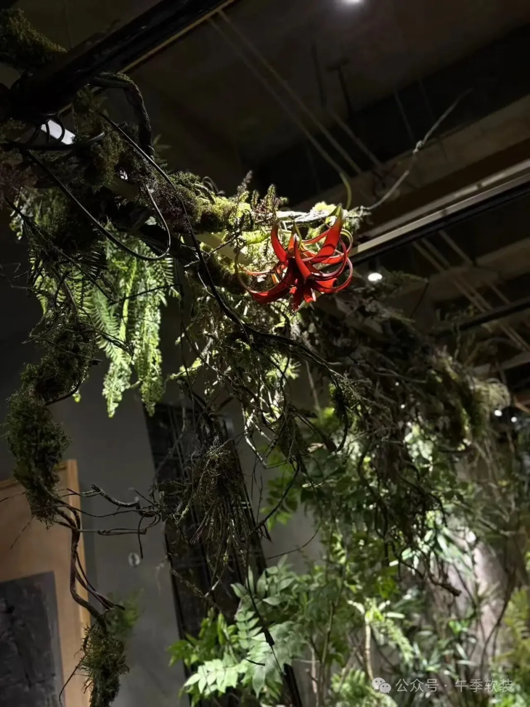 为什么餐饮界都在忙着“上山”?