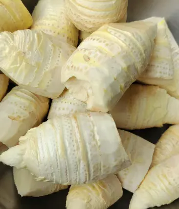 中国竹乡安吉竹韵茶香浸鲜醇