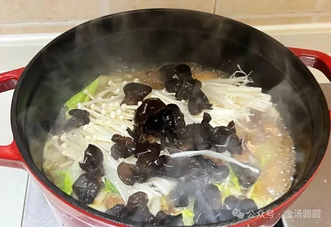 多种食材一锅炖,有肉有菜越吃越暖,营养健康做法简单