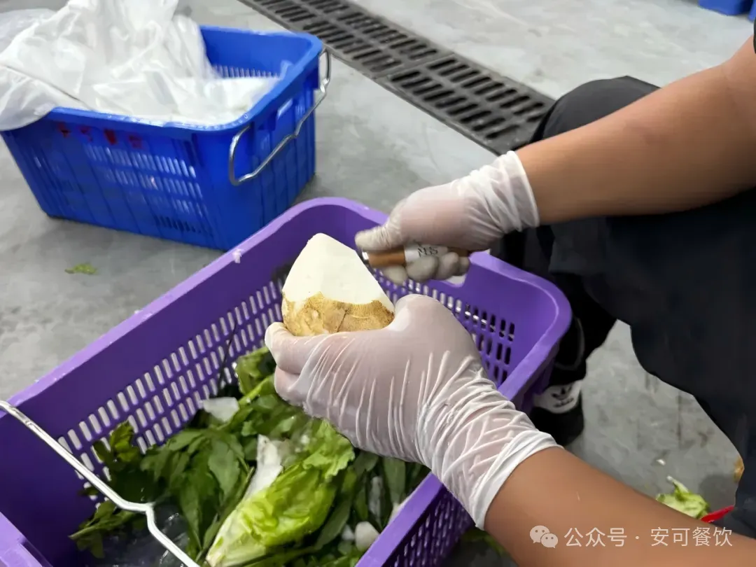 餐饮食材供应链从田间到餐盘的全流程揭秘