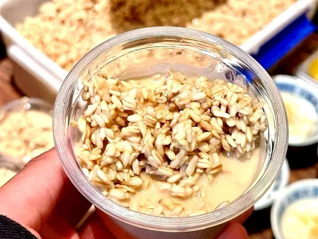 高原西宁的舌尖盛宴与夜市烟火