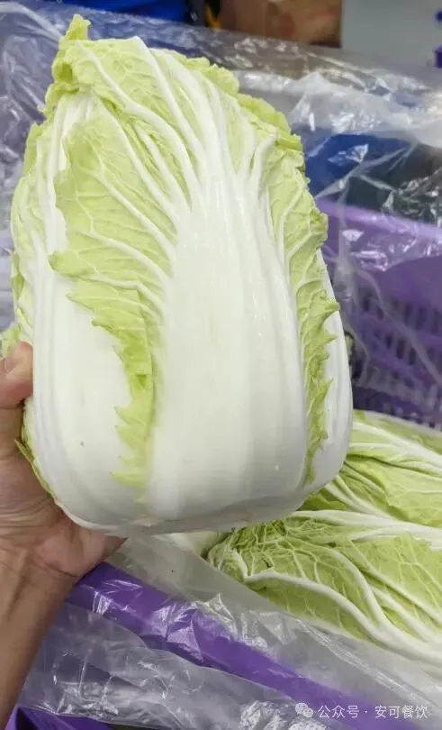 餐饮食材供应链从田间到餐盘的全流程揭秘