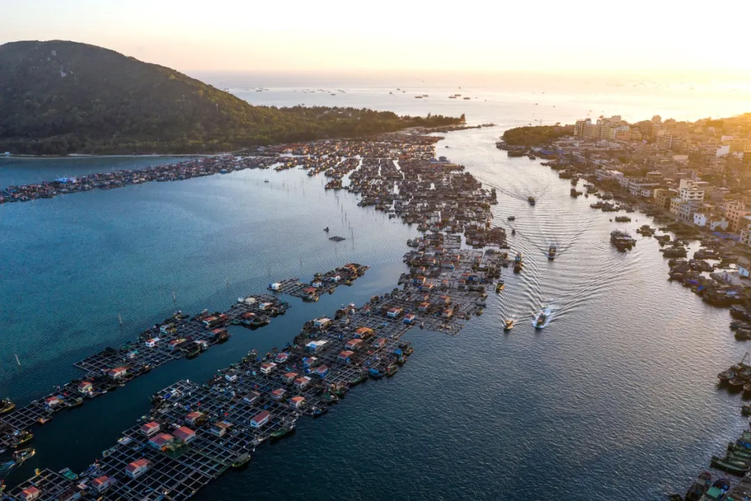 寻味陵水小吃,找寻生活的佐料