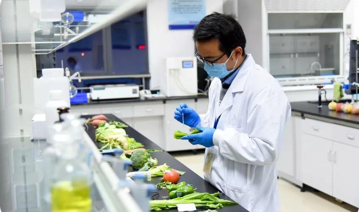 农产品食材快检和餐饮食品合规溯源方案