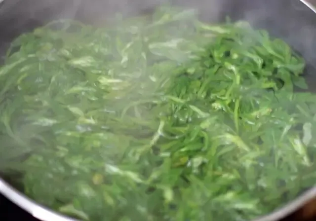 中国竹乡安吉竹韵茶香浸鲜醇