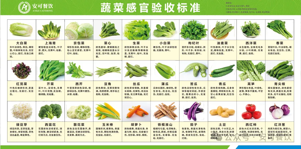 餐饮食材供应链从田间到餐盘的全流程揭秘