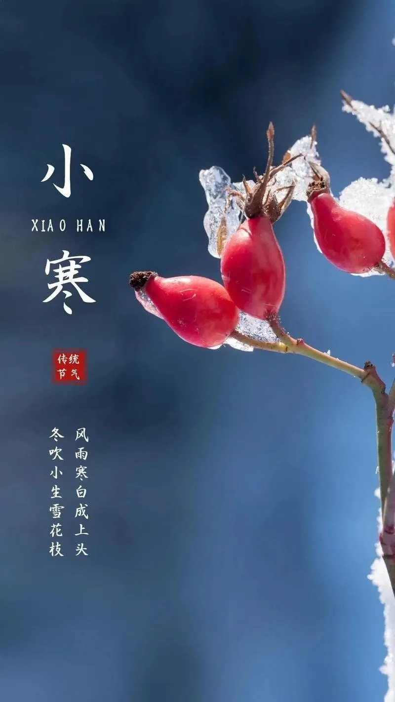 2026年小寒饮食与保健温补防寒,健康迎新年