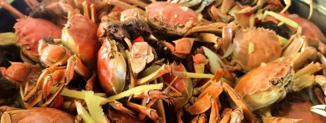 一味温情瓜州美食