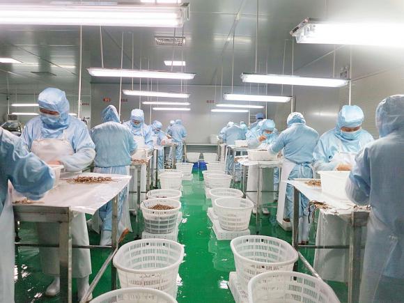 当餐食材加工和食品工艺多维度餐饮食材供应链创新