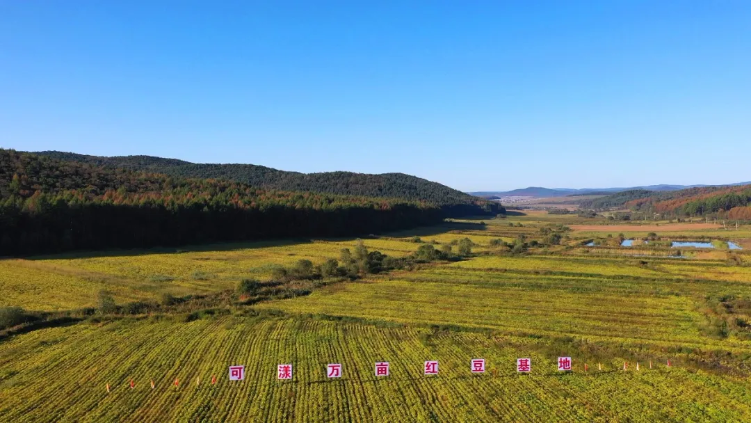 可漾有机红豆薏米水通过认证!