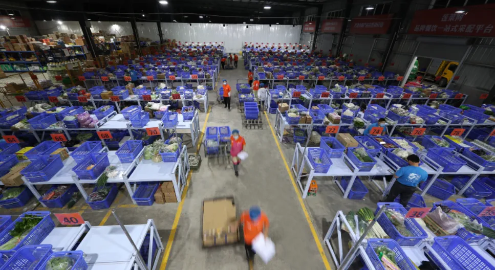 生鲜食材分拣慢、配送发车晚,成本全耗在路上,怎么解决?