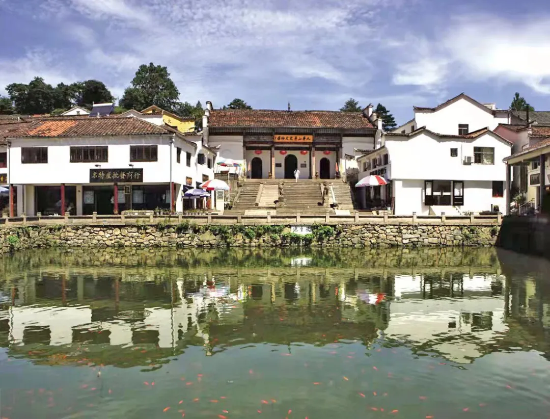 慈悲草:九华山有机黄精茶——以慈悲为怀,滋养身体,安顿心灵~