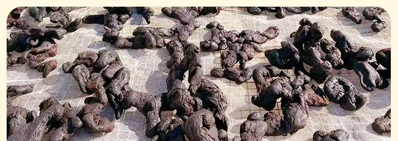 当餐囤年货!从酱油到素蚝油,这19种健康美味的调料让你厨艺翻倍!