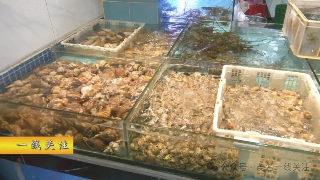 茂名各地年例陆续开启 年例期食材供需两旺