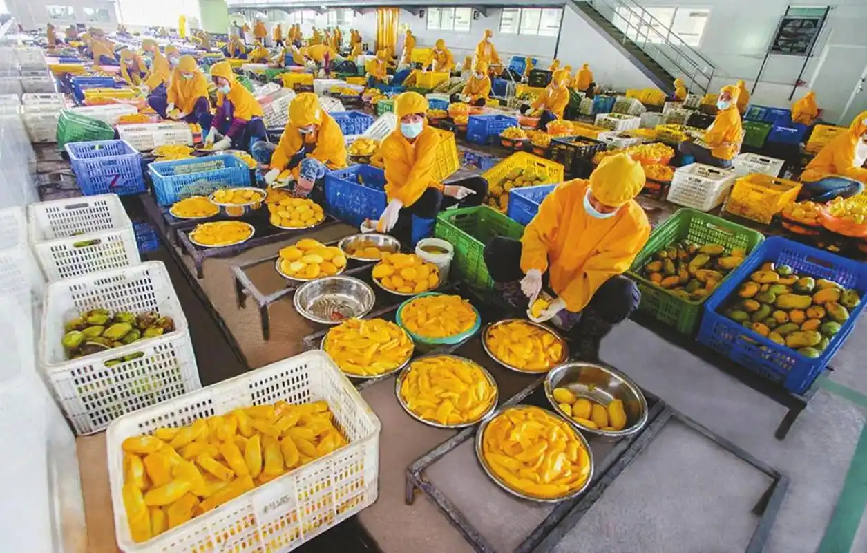 当餐食品初加工和深加工那些事