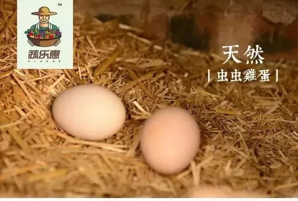 蔬乐惠有机农场02月26日菜单