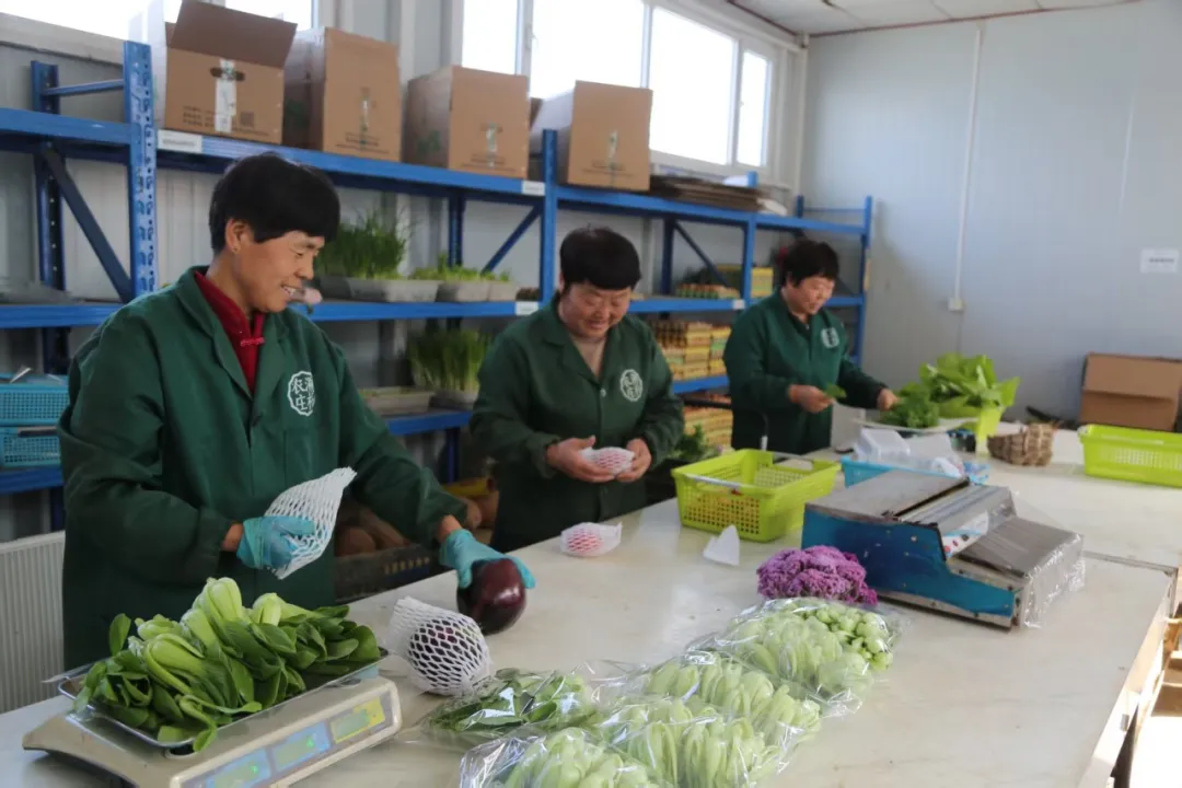 定兴一座有机农庄的京津“鲜”行记