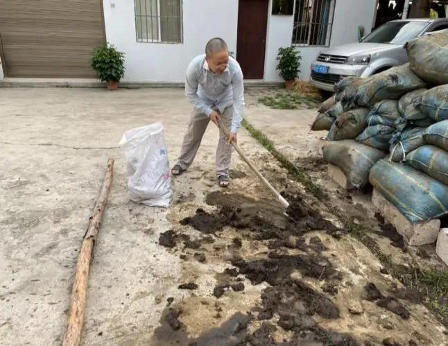 云南有机杨桃,皮薄肉厚,果脆汁多酸甜可口基地新鲜直发