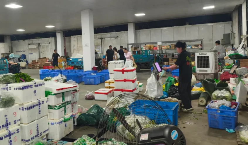 生鲜食材分拣慢、配送发车晚,成本全耗在路上,怎么解决?